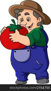 The old farmer is holding the big tomatoes with the hands