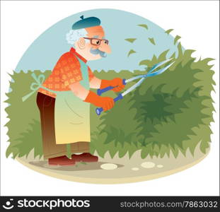 The old gardener working in the garden cutting the bushes. Job or hobby