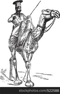 The oont-wallah (the camel), vintage engraved illustration. Journal des Voyages, Travel Journal, (1879-80).