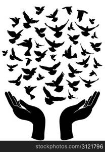 the peace symbol of hands releasing peace pigeon