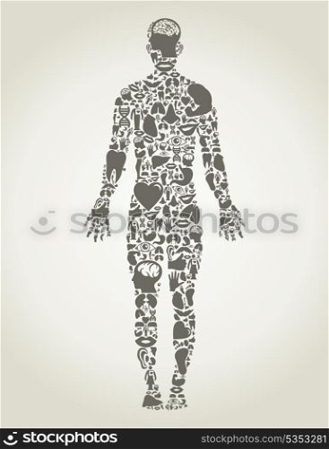 The person made of body parts. A vector illustration