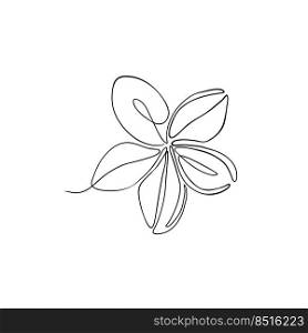 The plumeria flower is drawn with one line. Cosmetic series frangipani