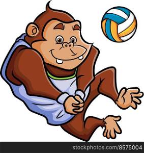 The professional chimpanzee is playing the volleyball 
