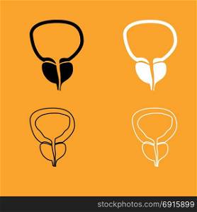 The prostate gland and bladder icon .