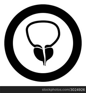The prostate gland and bladder icon black color in circle vector illustration isolated