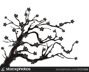 the silhouette of cherry blossom tree on white background