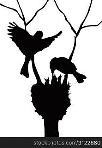 the silhouette of lovely birds family