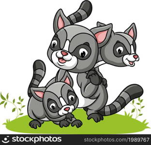 The three raccoon are playing together in the park of illustration