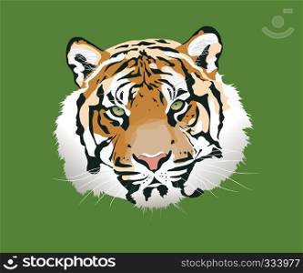 The tiger vector illustration.