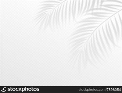 The transparent shadow overlay effect. Tropic leaf. Mockup with overlay a palm leaf shadow. Vector illustration EPS10. The transparent shadow overlay effect. Tropic leaf. Mockup with overlay a palm leaf shadow. Vector illustration