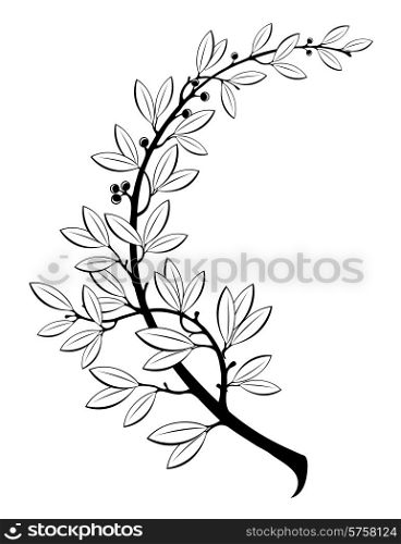 The vector illustration contains the image of laurel branch. Vector illustration contains the image of laurel branch