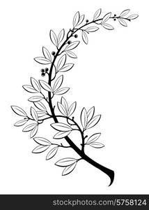 The vector illustration contains the image of laurel branch. Vector illustration contains the image of laurel branch