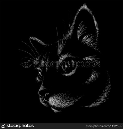 The Vector logo cat for tattoo or T-shirt design or outwear. Cute print style cat background. This hand drawing would be nice to make on the black fabric or canvas.