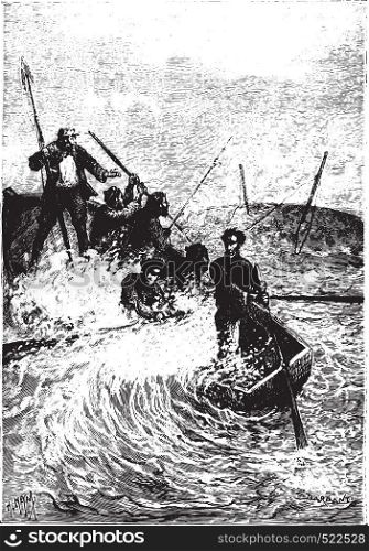 The whale nearly capsized, vintage engraved illustration.