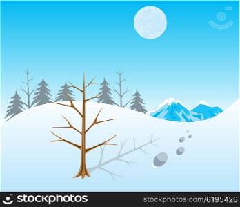 The Winter landscape with snow and tree.Vector illustration. Winter in wood