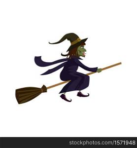The Witch on a broomstick, character, icon. The Witch on a broomstick, character, icon, vector, illustration, isolated, cartoon style