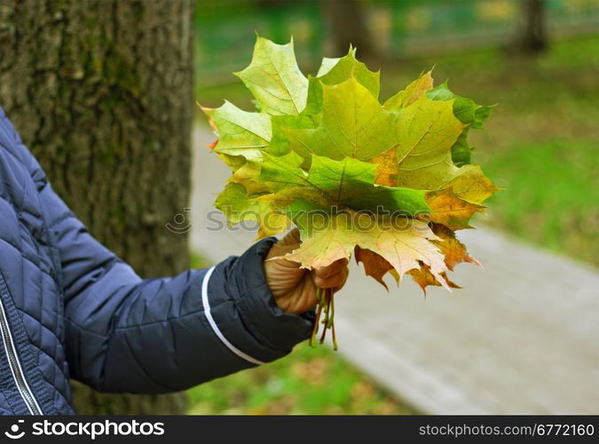 The woman, who holds in his hand gathered bouquet of green and yellow fallen autumn leaves.