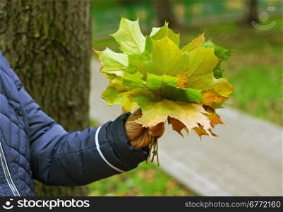The woman, who holds in his hand gathered bouquet of green and yellow fallen autumn leaves.