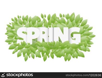 The word Spring. Green leaves. Vector background.