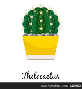 Thelocactus cactus in pot isolated on the white background, vector illustration. Thelocactus cactus in pot