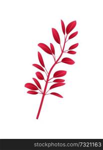 Thin long branch with unusual red smooth leaves. Wild herb with thin fragile stem. Natural branch from tree or bush isolated vector illustration.. Thin Long Branch with Unusual Small Red Leaves