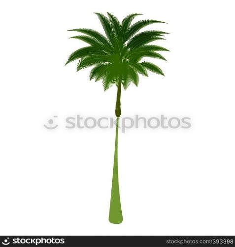 Thin palm tree icon. Cartoon illustration of thin palm tree vector icon for web. Thin palm tree icon, cartoon style