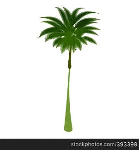 Thin palm tree icon. Cartoon illustration of thin palm tree vector icon for web. Thin palm tree icon, cartoon style