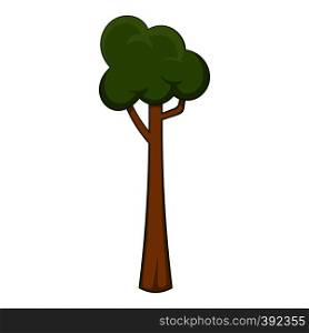 Thin tree icon. Cartoon illustration of thin tree vector icon for web. Thin tree icon, cartoon style