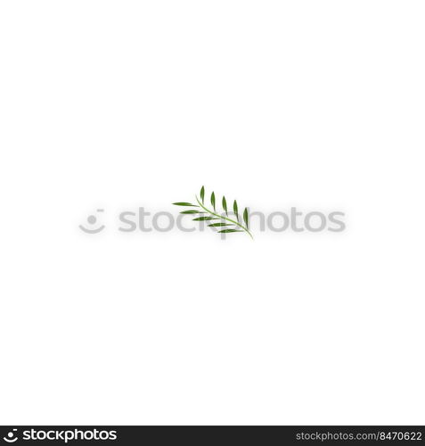 this is a leaf icon vector illustration design