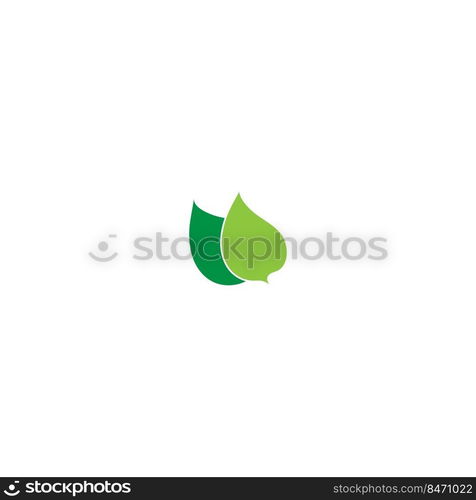 this is a leaf icon vector illustration design