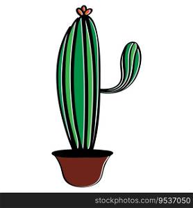 this is cactus icon vector illustration design
