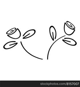 this is flower vector element