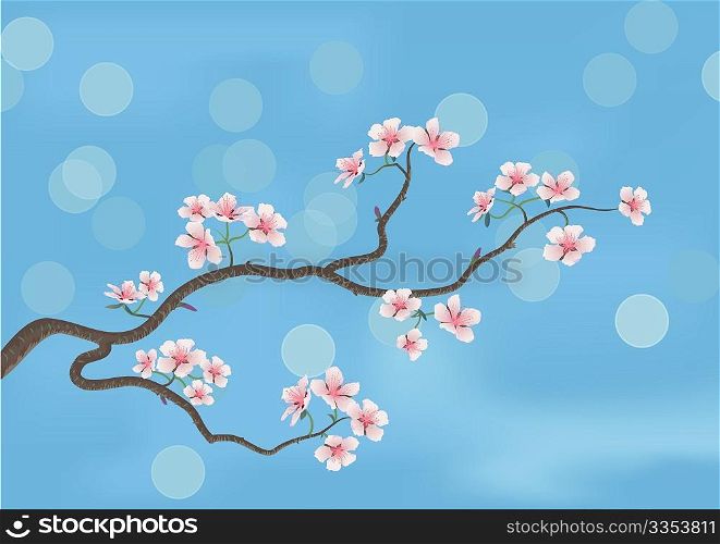 This is the illustration of a flowered sakura, japanese cherry tree