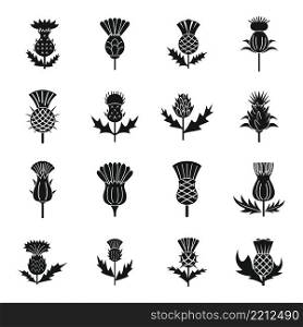 Thistle icons set simple vector. Scottish flower. Blossom plant. Thistle icons set simple vector. Scottish flower