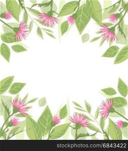 Thistle with green leaves. Vector Illustration thistle with green leaves on a white background