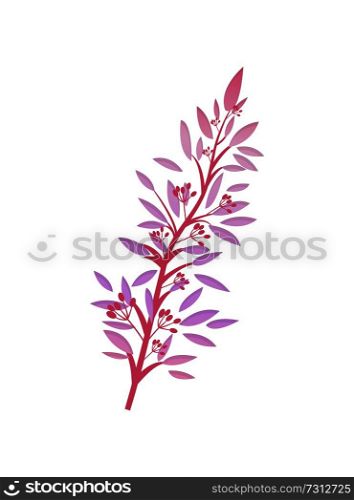 Thorny shrub with pink leaves and red berries vector illustration springtime branch isolated on white background. Spring brunch with red buds and leaf. Thorny Shrub with Pink Leaves Red Berries Vector