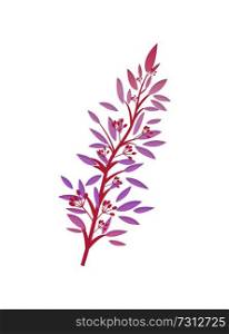 Thorny shrub with pink leaves and red berries vector illustration springtime branch isolated on white background. Spring brunch with red buds and leaf. Thorny Shrub with Pink Leaves Red Berries Vector