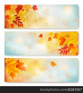 Three abstract autumn banners with color leaves.