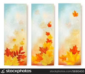 Three abstract autumn banners with color leaves. Vector