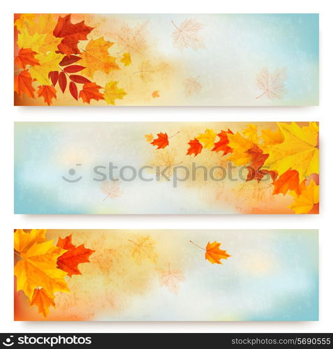 Three abstract autumn banners with color leaves. Vector