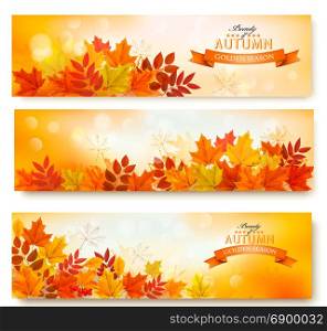 Three abstract autumn banners with colorful leaves Vector