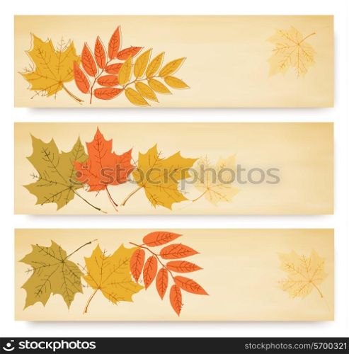 Three autumn banners with color leaves