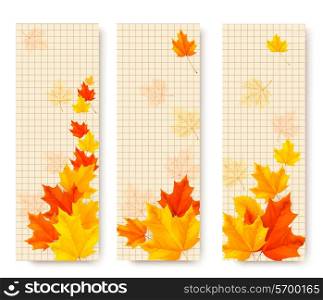 Three autumn banners with color leaves. Vector