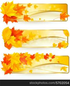 Three autumn banners with colorful leaves in golden frames. Vector.