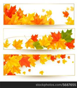 Three autumn banners with colorful leaves in golden frames. Vector illustration.