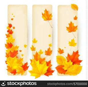 Three autumn banners with colorful leaves Vector