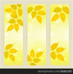 Three autumn banners with yellow leaves Vector