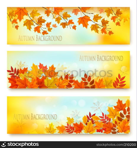 Three Autumn Nature Banners With Colorful Leaves. Layered Vector