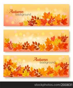 Three Autumn Sale Banners With Colorful Leaves. Layered Vector