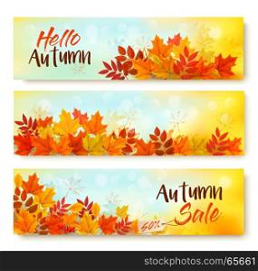 Three Autumn Sale Banners With Colorful Leaves. Layered Vector